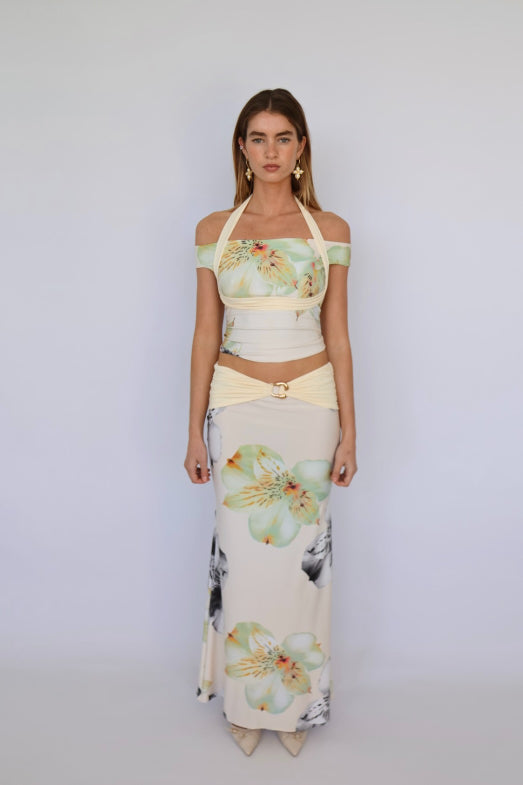 Orchid/Cream