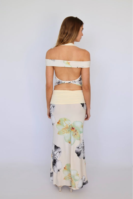 Orchid/Cream