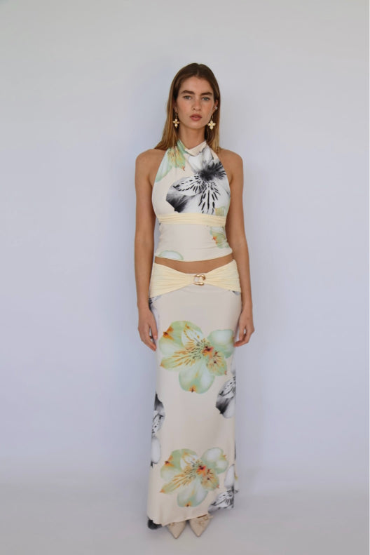 Orchid/Cream 
